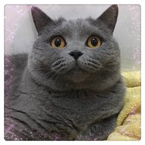 哈哈，还有我在笑什么？