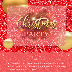 环木丨圣诞聚会log（33p）