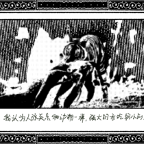 序3 你要做什么