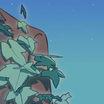 06